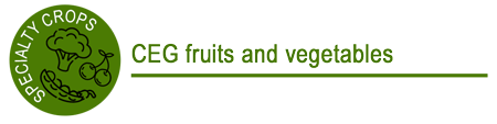 Fruits and vegetables