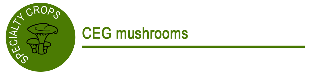 Mushroomss