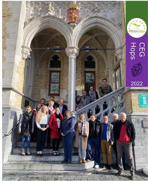 Several CEG Hops participants in front of Poperinge town hall.