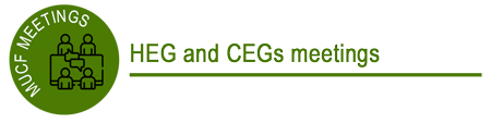 HEG and CEGs meetings